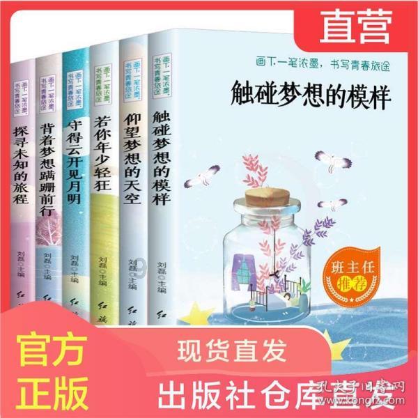 拯救受伤的猫