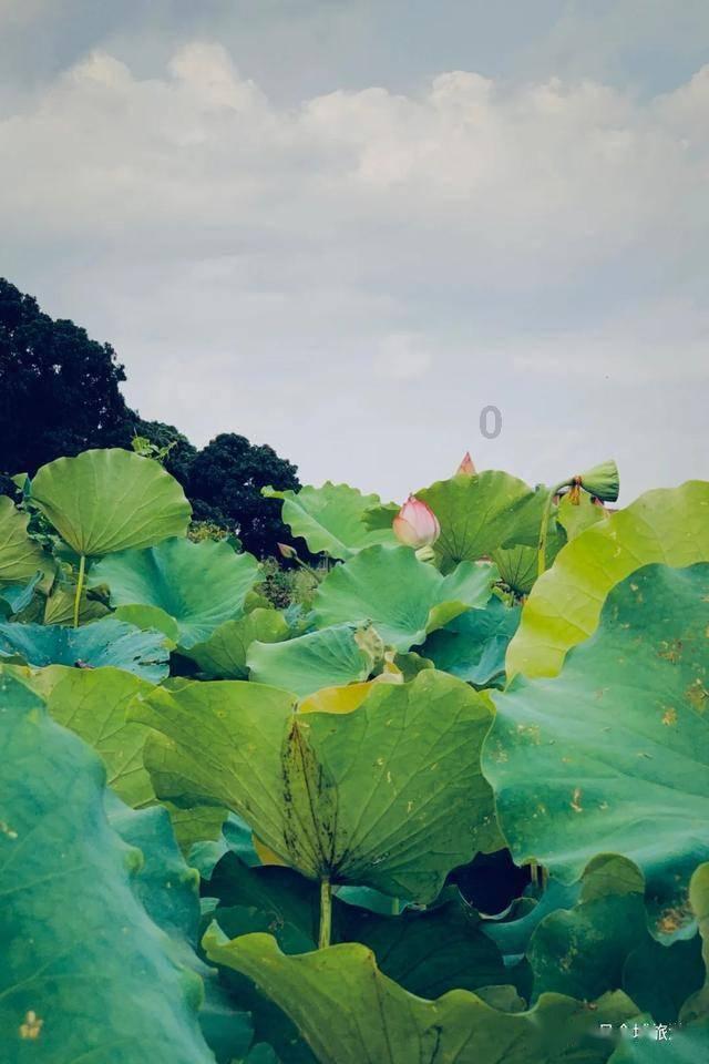 逃离撒丁岛