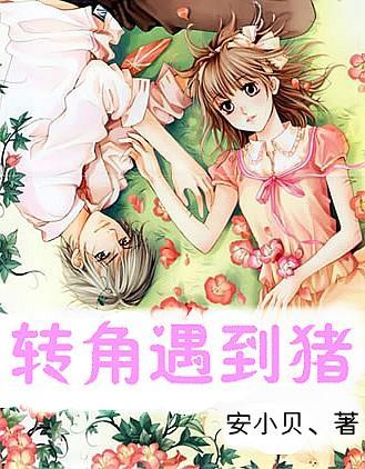 海外侨胞列席省政协十三届二次会议 听他们如何共话河南发展