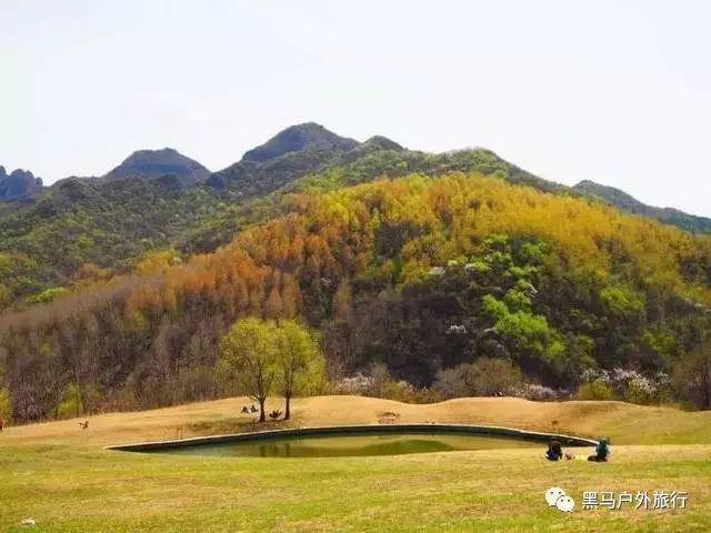 中国基建投资(00600.HK):联交所上市委员会决定取消公司的上市地位