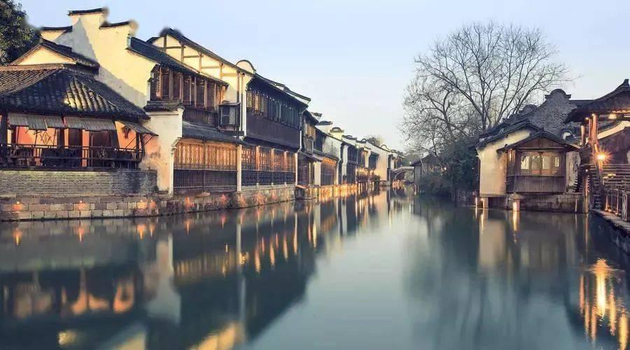 逃离大犀牛出没地
